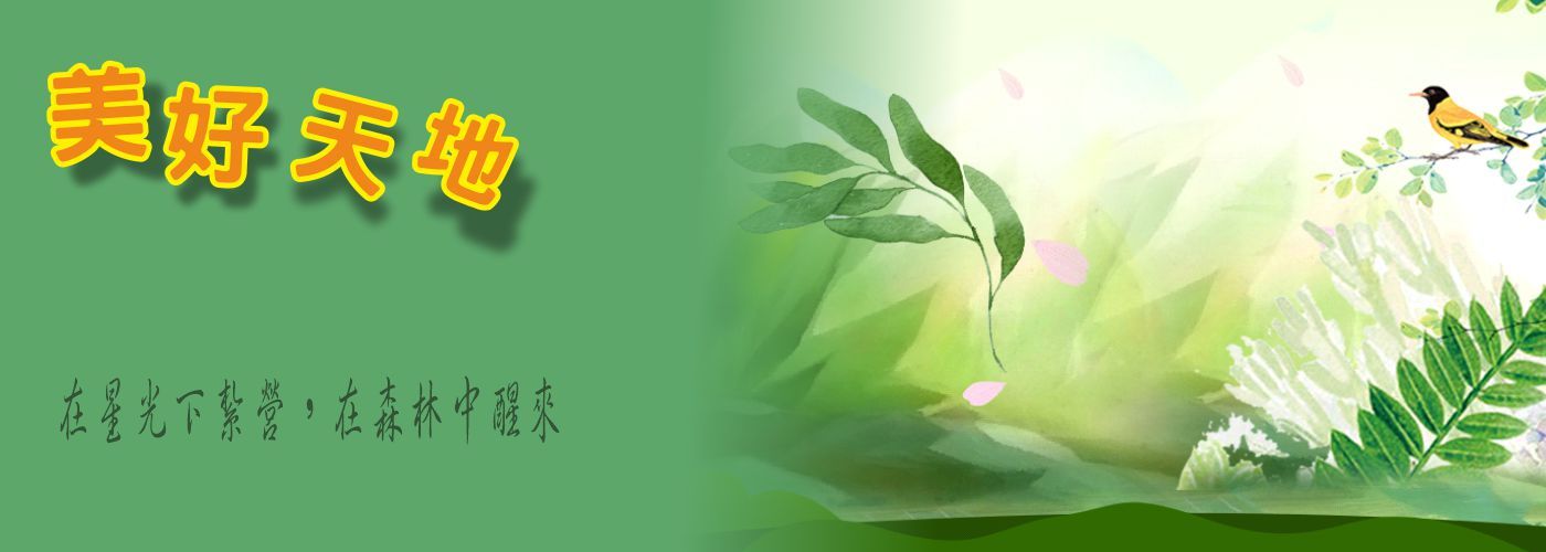 露營